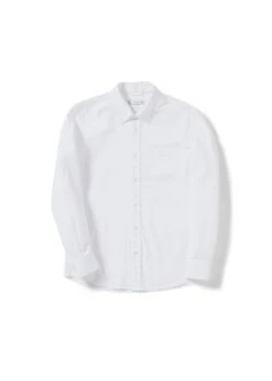 Chemise Regular Fit Coton Oxford 37 Chemise Regular Fit Coton Oxford -Vêtements Pascher 47010670 01 D9