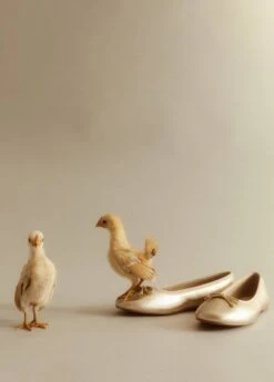 Ballerines Nœud -Vêtements Pascher 57035136 OR D8