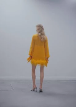 Robe Semi-transparente Plumes -Vêtements Pascher 57041175 12 R