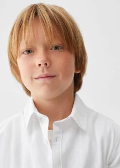 Chemise Regular-fit Lin 31 Chemise Regular-fit Lin -Vêtements Pascher 57041502 01 D1