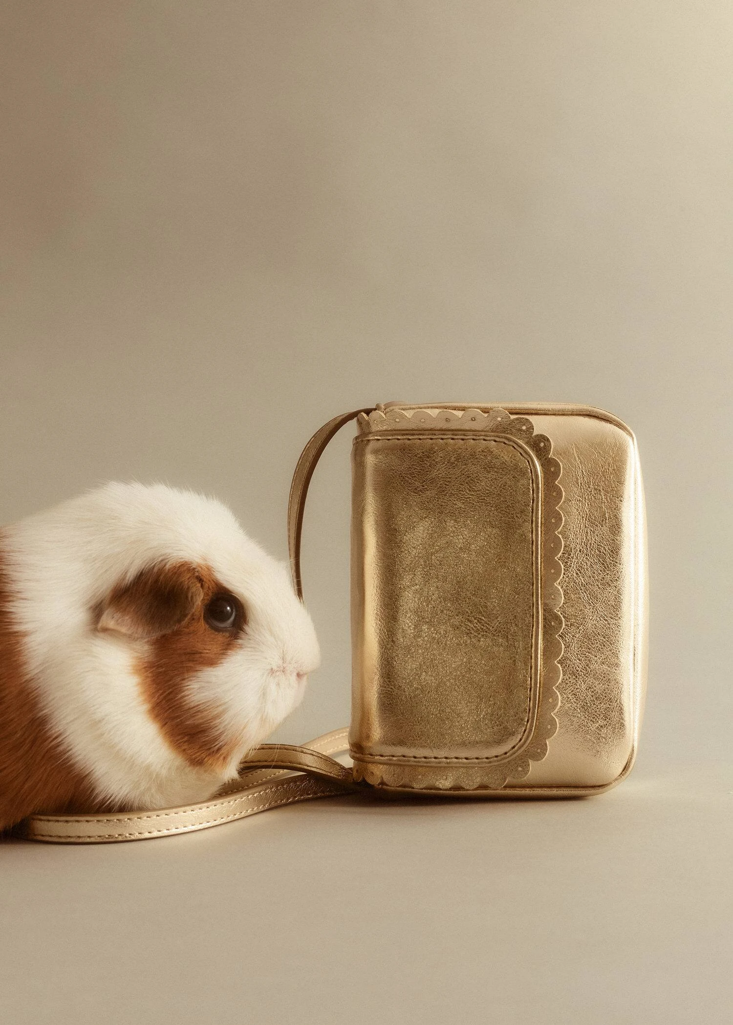 Petit Sac Métallisé 7 Petit Sac Métallisé – Image 5