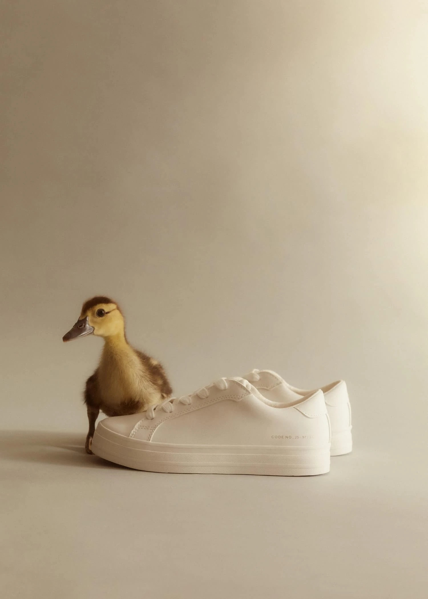 Baskets Plate-forme 7 Baskets Plate-forme – Image 5