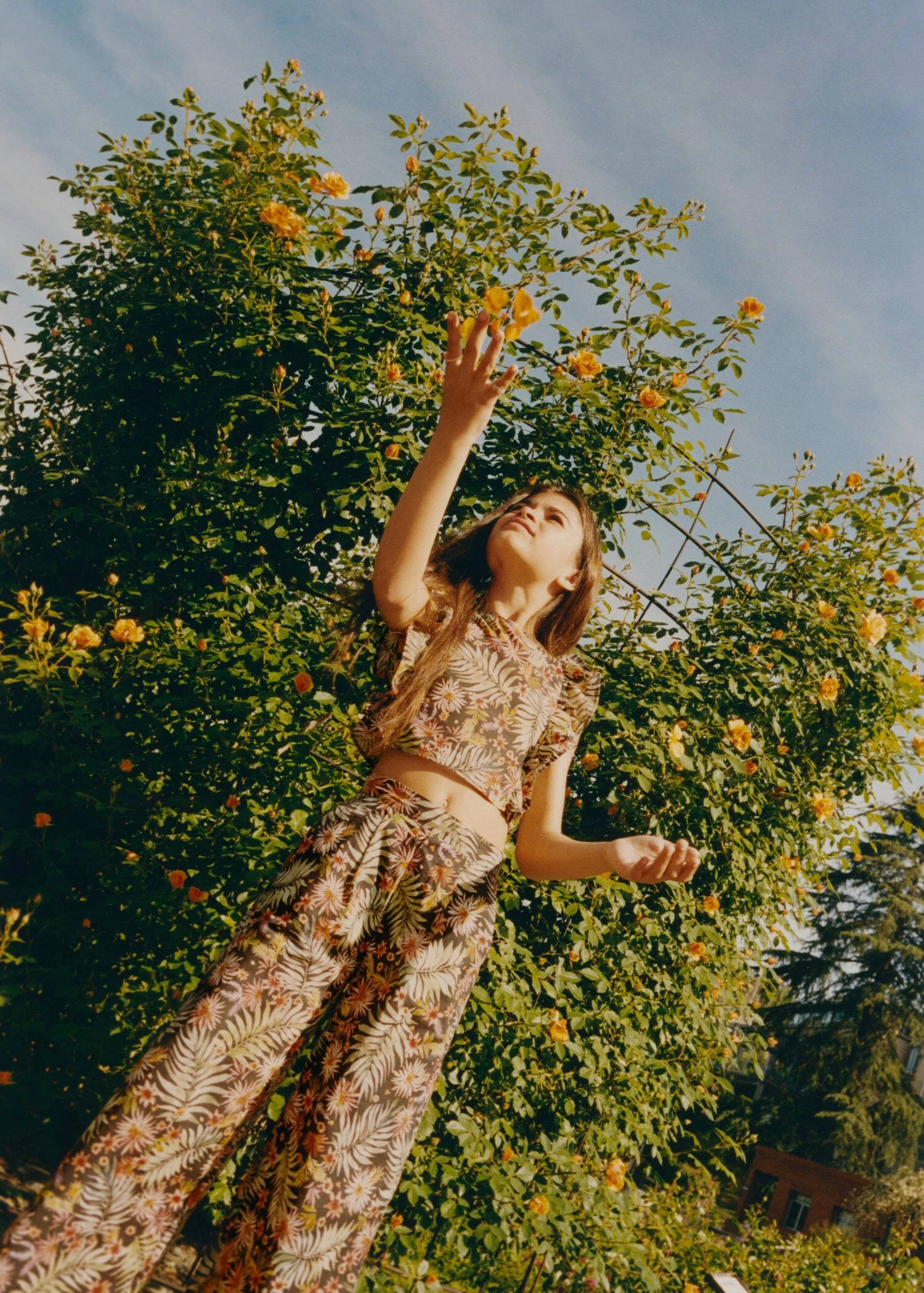 Pantalon Imprimé 3 Pantalon Imprimé