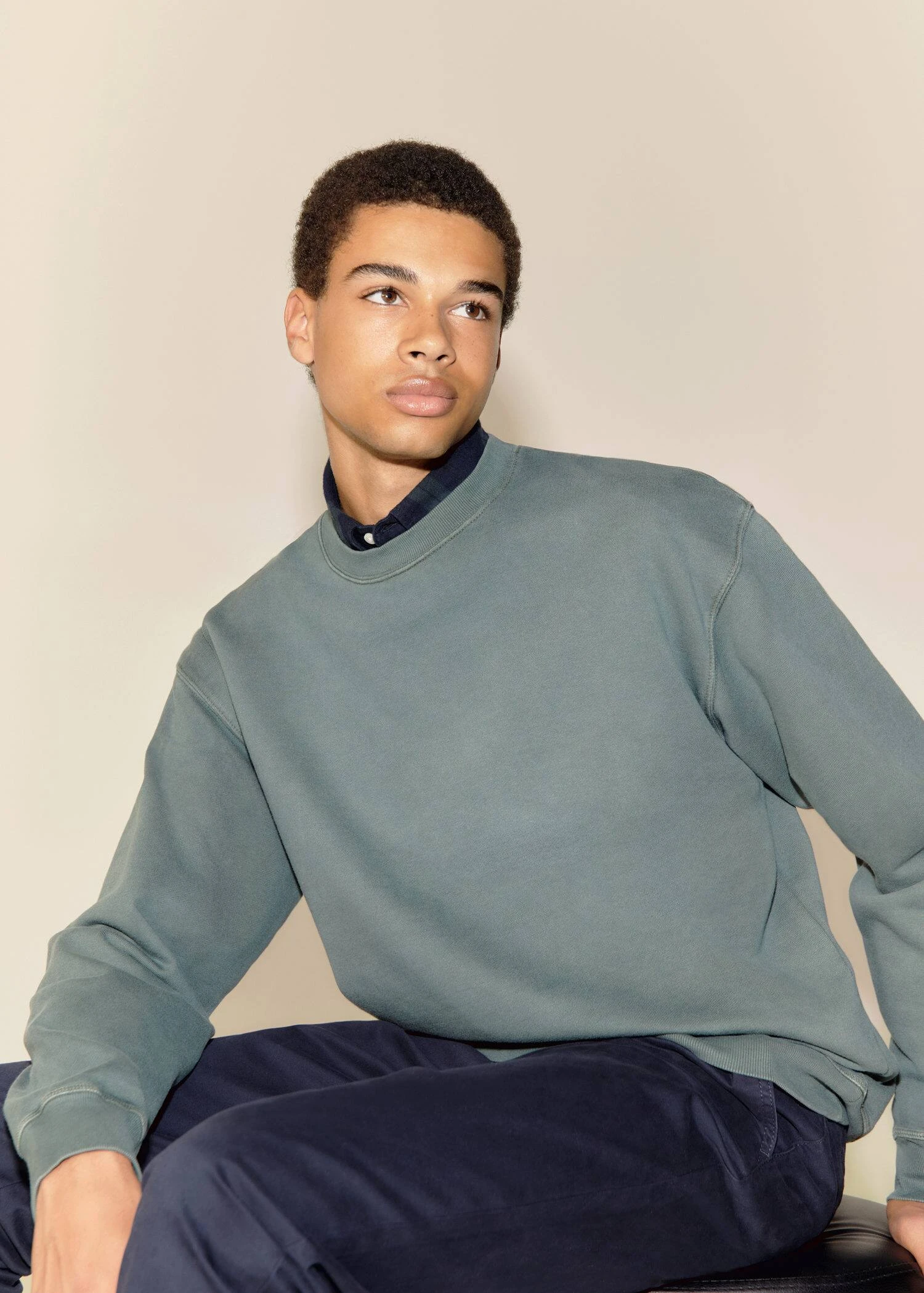 Sweat-shirt Basique Coton 7 Sweat-shirt Basique Coton – Image 5