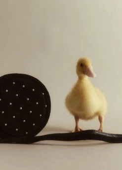 Sac Cuir Ornements -Vêtements Pascher 57083267 99 D8