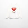 Sweater Superhéros -Vêtements Pascher 57095136 02 B