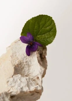 Parfum Près Du Soleil 100 ml 9 Parfum Près Du Soleil 100 ml -Vêtements Pascher 57142524 98 D2